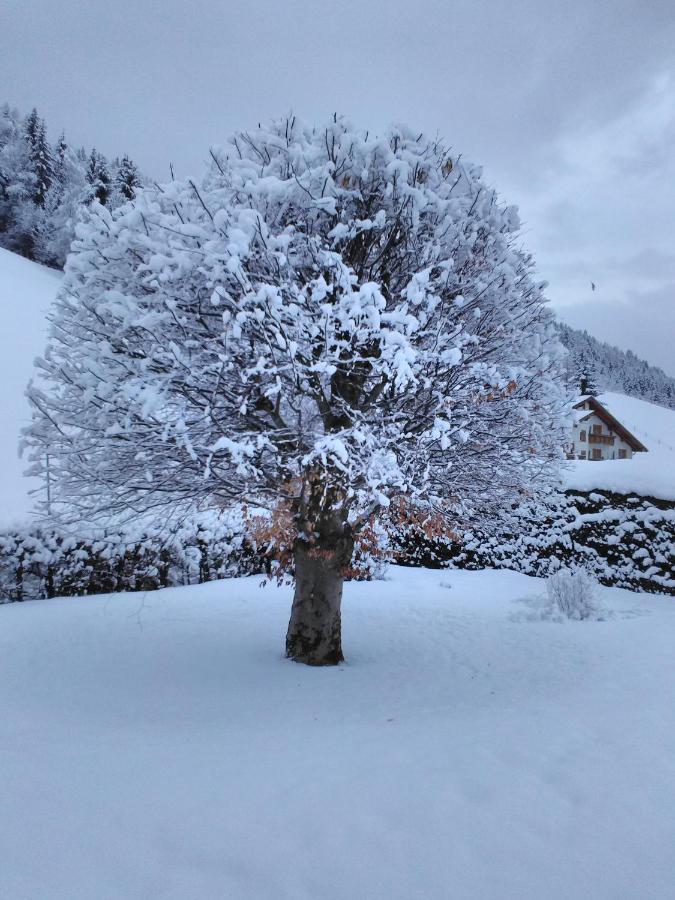 Haus Kieler Schladming Exterior foto